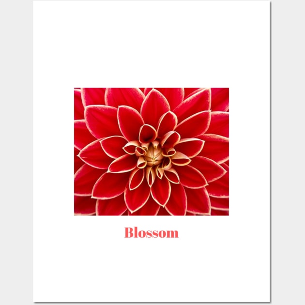 Blossom Wall Art by Gnanadev